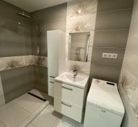 Bathroom with a sink cabinet, shower corner, and washing machine in a 2-room apartment.