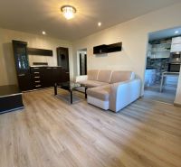 Living room in a two-room apartment with a wooden decor floor and a comfortable sofa.