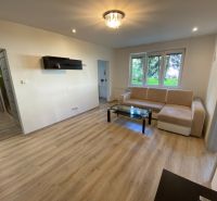Living room in a two-room apartment with a wooden decor floor and a light sofa.