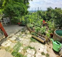 A garden at a family house in Piešťany with rich vegetation and comfortable seating.