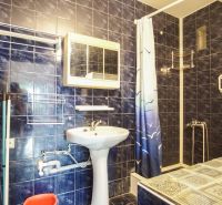 A bathroom with a shower and blue tiles in a 3-room apartment.
