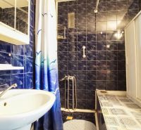 A bathroom in a 3-room apartment with dark blue tiles and a shower corner.