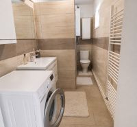 A bathroom in a family house with a washing machine, sink, shower, and toilet, with a wooden decor floor.