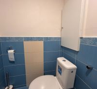 A bathroom with a toilet with blue tiles in a 3-room apartment.
