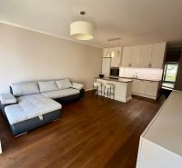 Living room in a 2-room apartment with a wooden decor floor and a comfortable sofa.