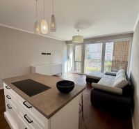 Living room in a 2-room apartment with a kitchen counter, sofa, and wooden decor flooring.