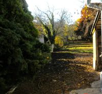 A garden at a family house in Budmerice with greenery and trees in the autumn season.