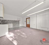 In the family house, there is a kitchenette with a sink and tile backsplash.