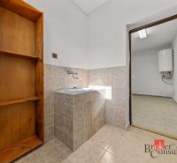 A kitchen area in a family house with a shelf and a sink, view into the utility room.