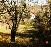 The garden of a family house in Budmerice with fallen leaves and trees in autumn.