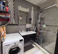 Bathroom with a shower, sink, and washing machine in a 4-room apartment.