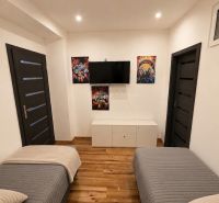 A room in a 4-room apartment with wooden decor, two beds, and a wall-mounted television.