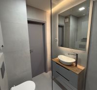 Bathroom in a studio apartment with a sink on a wooden decor and a built-in mirror.