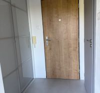 Entrance area of a 1-room apartment with wooden decor and sliding wardrobe.
