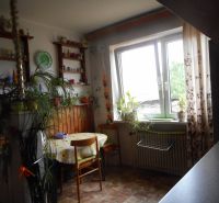 Kitchen in a family house with a table, plants, and a large window.