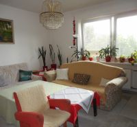 Living room of a family house with a sofa, armchair, houseplants, and a chandelier.
