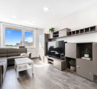 Living room in a two-room apartment with a corner sofa and a large window.