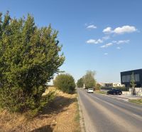 Commercial land on Šenkvická Road in Pezinok with an asphalt road and greenery.