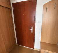 Wooden doors and a wardrobe in a three-room apartment with a floor featuring a wooden decor.
