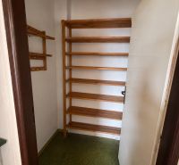 Storage space with shelves and a green floor in a 3-room apartment.