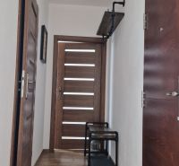A hallway with a wooden decor floor in a 2-room apartment, doors, and a coat rack shelf.