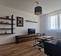 Living room in a 2-room apartment with a sofa, TV, shelves, and a floor with a wooden decor.