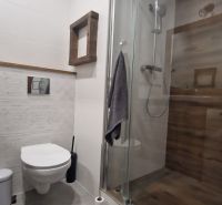 Bathroom with toilet and shower in a 2-room apartment, floor with wooden decor.