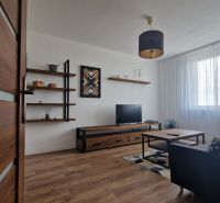 Living room with TV, shelves, and wooden decor flooring in a 2-room apartment.
