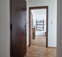 A hallway with a wood-patterned floor leading to a room with shelves in a 2-room apartment.