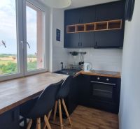 A kitchen in a 2-room apartment with a wooden decor floor, black cabinets, view from the window.