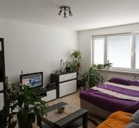 Living room with furniture and plants in a 2-room apartment with wood-patterned flooring.