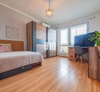 1-bedroom apartment with a bed, large window, TV, wall decorations, and a floor with a wooden design.