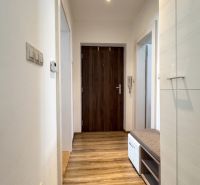 A hallway in a 2-room apartment with a wooden decor floor and built-in furniture.