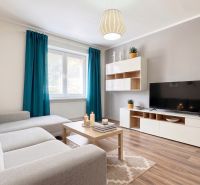 Living room with a gray sofa, television, and wooden decor flooring in a two-room apartment.