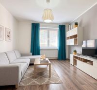 Living room in a two-room apartment with a wooden decor floor and a gray sofa.