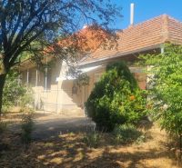 A family house in Moča surrounded by greenery and trees on a sunny plot.