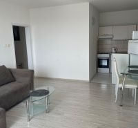 Studio apartment with a light wood-patterned floor, a sofa, and a glass table.