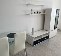 Studio apartment interior with wood-patterned flooring, white furniture, and a glass table.