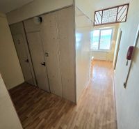 A hallway in a one-room apartment with a wooden decor floor, built-in wardrobes, and a window.
