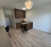 Studio apartment with a kitchenette, counter, and wooden decor flooring.
