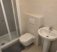 A bathroom in a studio apartment with a white sink, shower stall, and wall-mounted toilet.