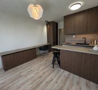 In the studio apartment, there is a kitchen unit with dark furniture and a floor with a wood design.