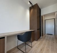Studio apartment with a workspace, chair, and wood-patterned flooring, equipped with storage spaces.