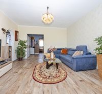 Living room with a sofa and a television, wood-patterned floor, carpet, plant.