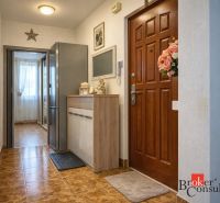 Hallway in a 3-room apartment with an entrance door, a wardrobe, and tiles.