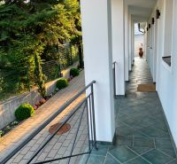 A sidewalk and terrace paving at a family house in Bratislava - Dúbravka, bordered by greenery and flowers.
