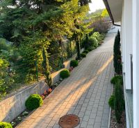 A well-maintained garden next to the walkway of a family house in Dúbravka, Bratislava.