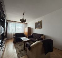 Living room with a sofa, carpet, and wood-patterned flooring in a 2-room apartment.
