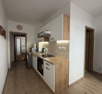 A kitchen in a 2-room apartment with a wooden decor floor and light cabinets.