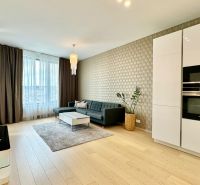Living room in a two-room apartment with a wooden decor floor, gray sofa, and television.